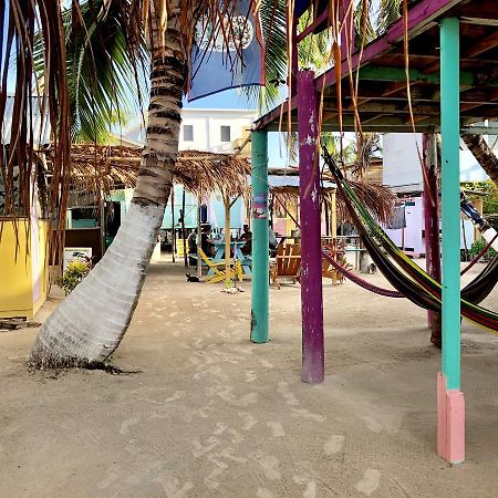 Hostel Tropical Oasis Caye Corker Exteriér fotografie