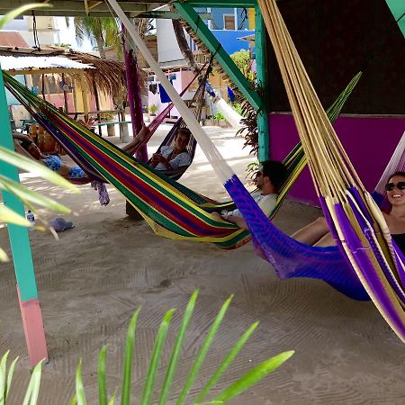 Hostel Tropical Oasis Caye Corker Exteriér fotografie