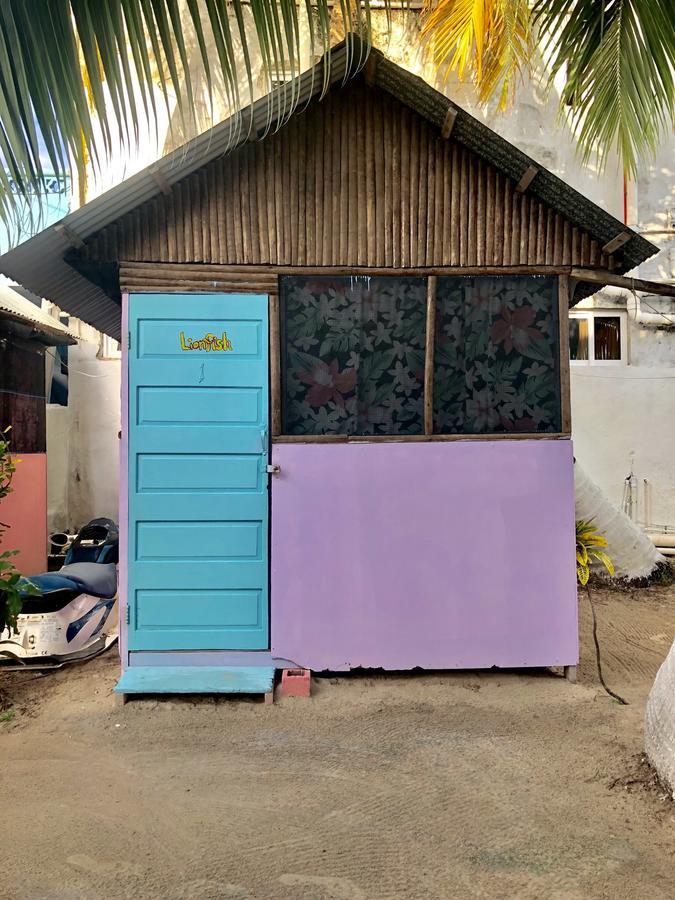 Hostel Tropical Oasis Caye Corker Exteriér fotografie