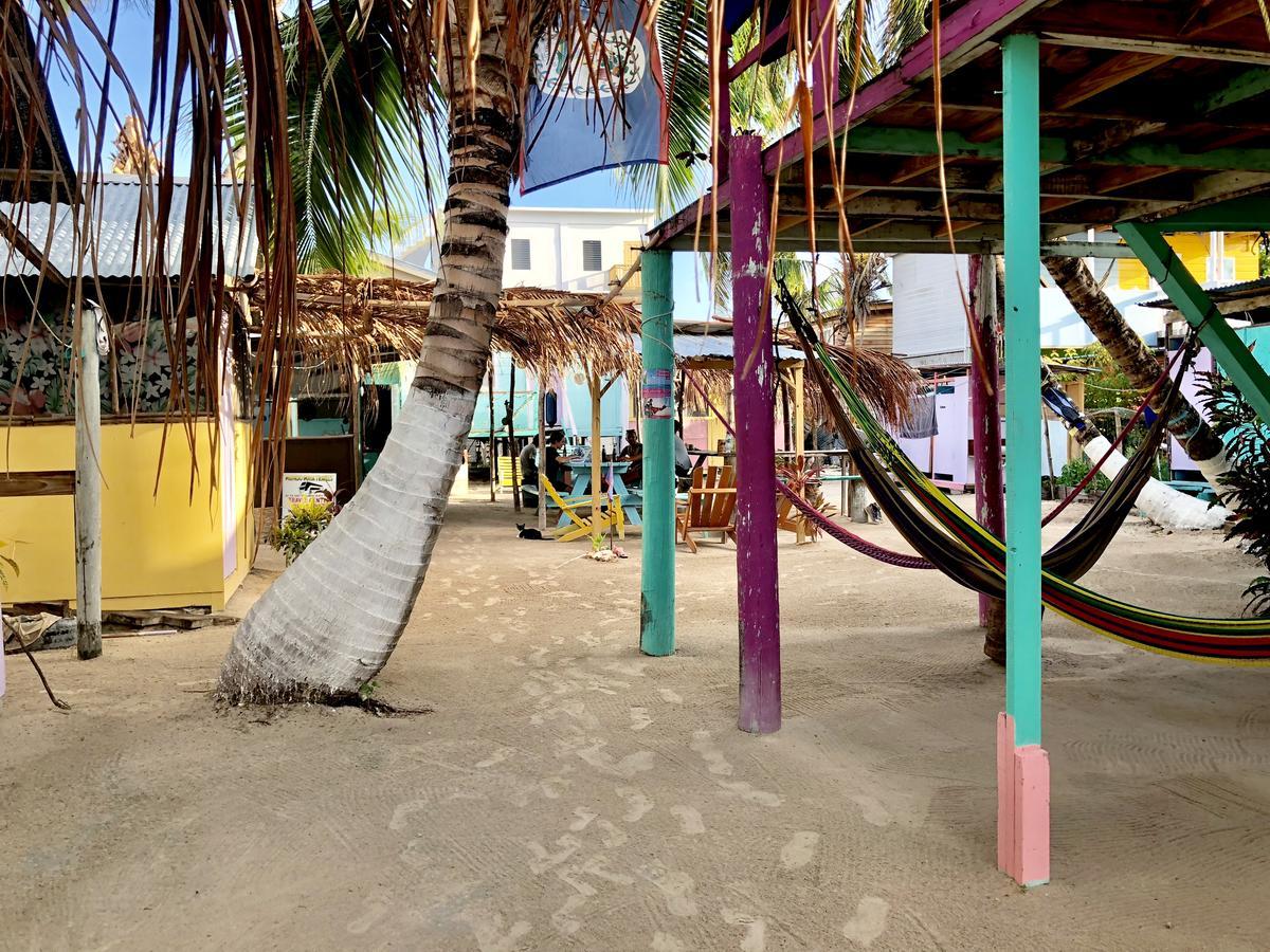Hostel Tropical Oasis Caye Corker Exteriér fotografie