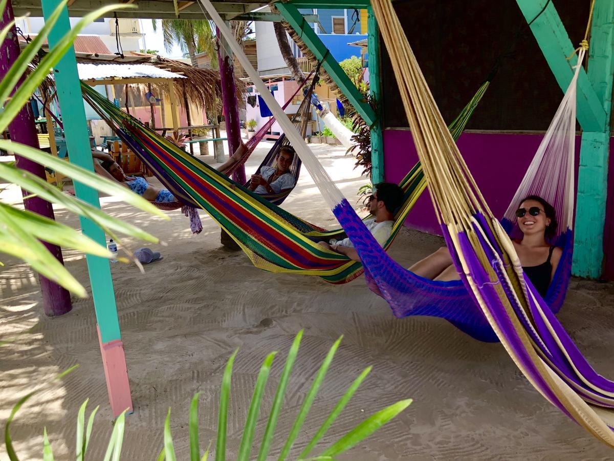 Hostel Tropical Oasis Caye Corker Exteriér fotografie