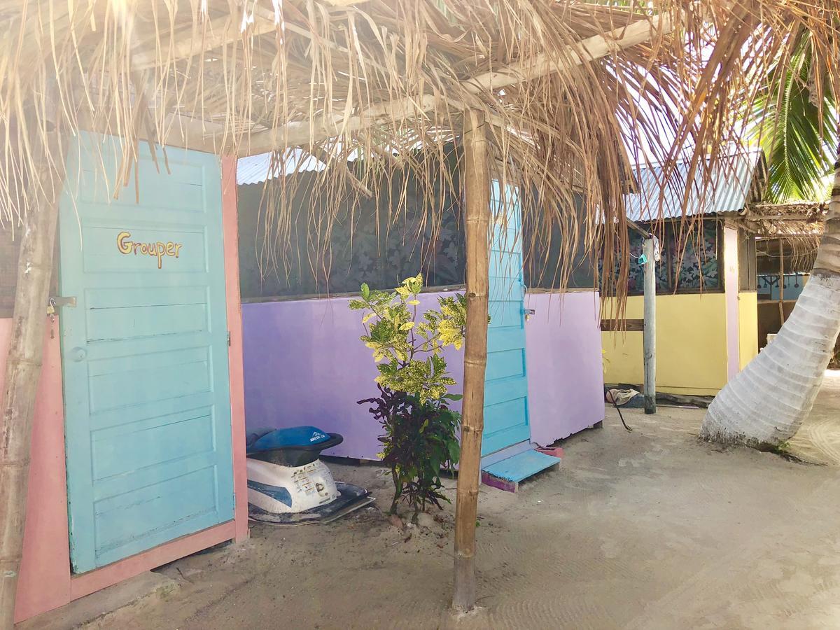 Hostel Tropical Oasis Caye Corker Exteriér fotografie