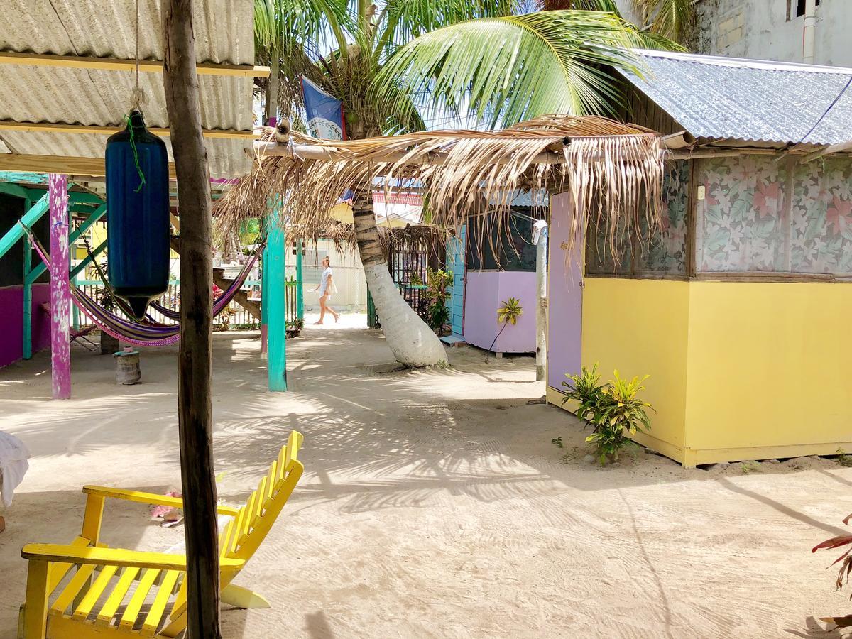 Hostel Tropical Oasis Caye Corker Exteriér fotografie