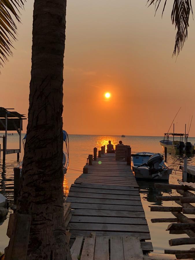 Hostel Tropical Oasis Caye Corker Exteriér fotografie