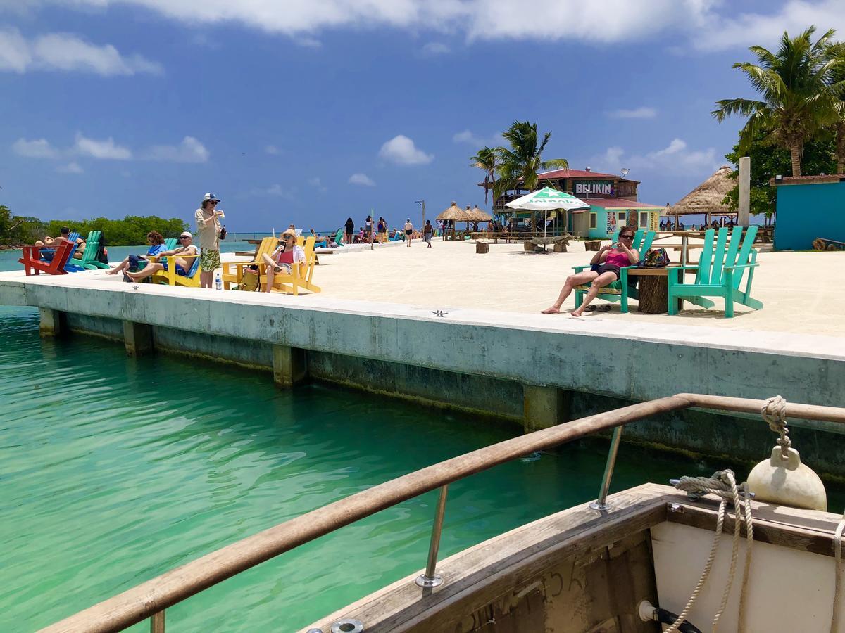 Hostel Tropical Oasis Caye Corker Exteriér fotografie