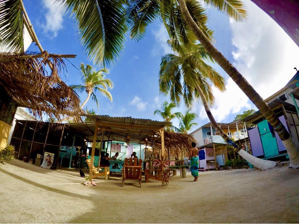 Hostel Tropical Oasis Caye Corker Exteriér fotografie